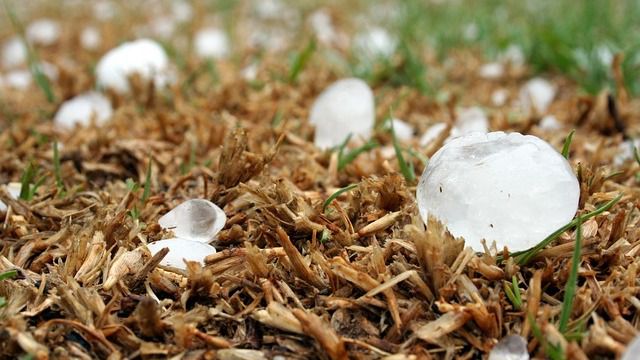 Шымкентцы делятся видео с крупным градом, прошедшим в городе