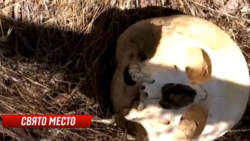 В Туркестанской области кладбище оказалось на территории детского лагеря