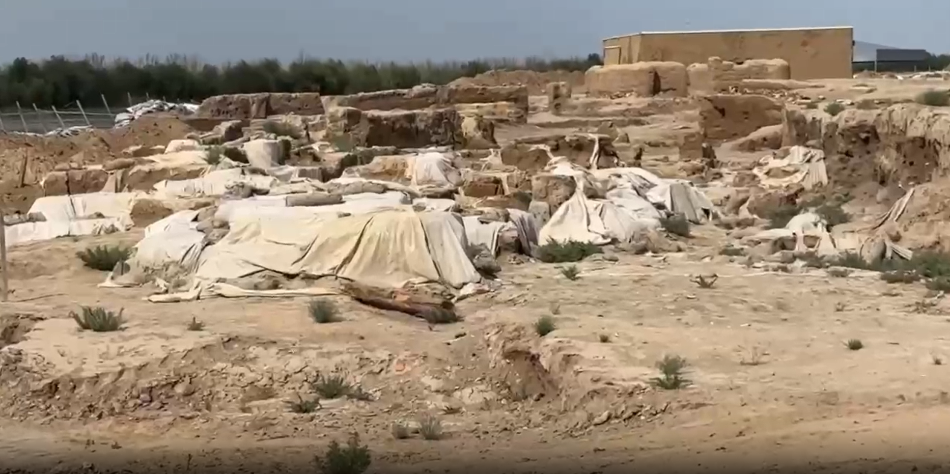 В селе Сарайшык начались археологические работы