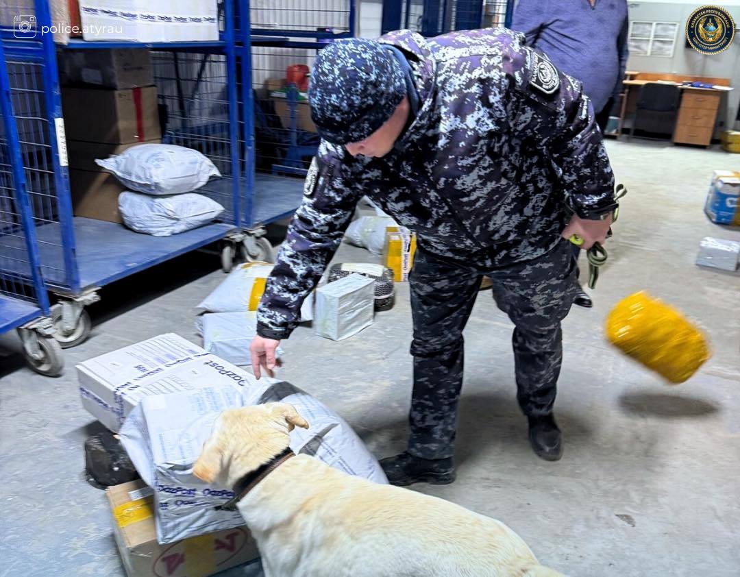 В  Атырау полицейские проверяют посылки на почте для профилактики наркооборота