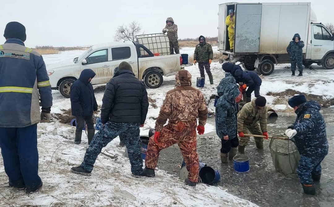 На канале Баксай продолжаются работы по спасению мальков