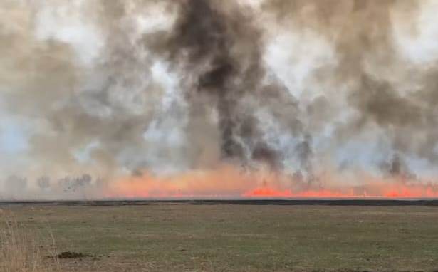 В Атырауской области усилена профилактика лесостепных пожаров