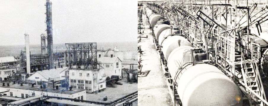 Жеңіс-80: Гитлер «Еділ-Жайық мемлекетін» құрғысы келген бе?