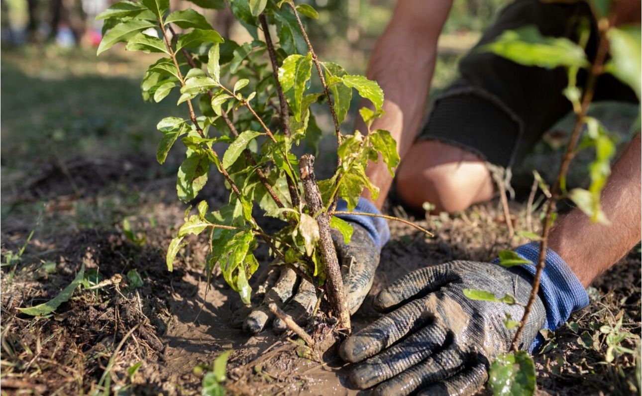 Экологическая повестка: от акции к новой культуре