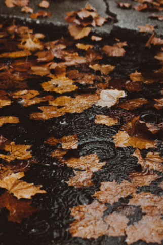 Сильные дожди накроют большую часть Казахстана в последний день октября-2025