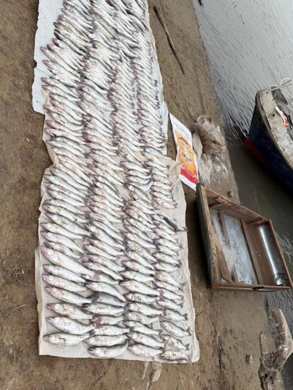 В Атырау изъяли более 100 незаконных рыболовных сетей