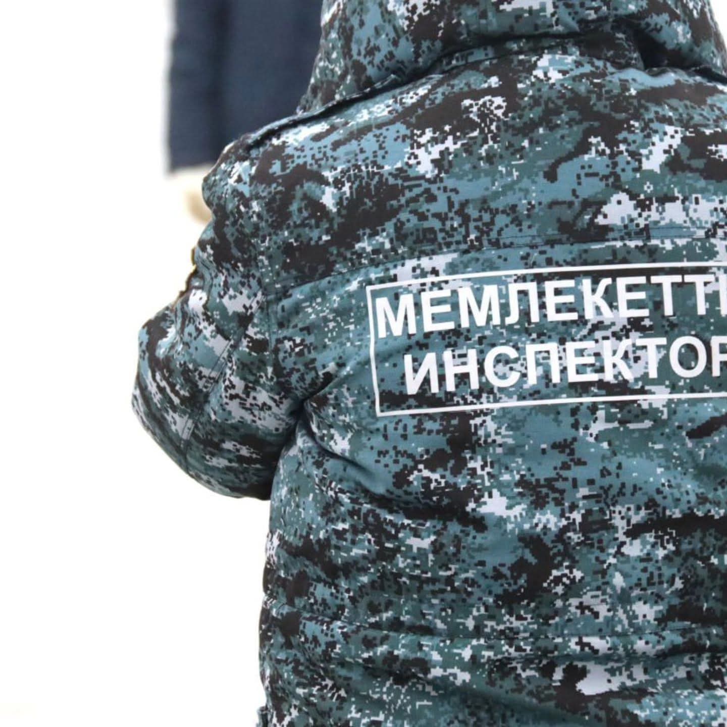 Штрафы на миллионы и уголовные дела: итоги рыбоохранной работы в регионе