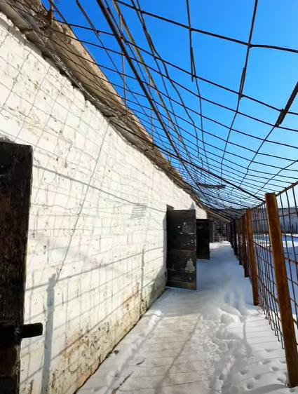 Тюрьма вместо будущего: атырауским студентам показали, чем заканчиваются наркопреступления