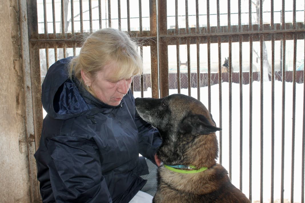 Көзге көрінбейтін мамандық немесе ветеринарлық фельдшер деген кім?