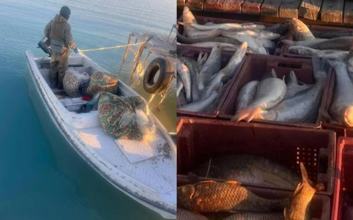 Какие штрафы грозят казахстанцам за незаконный лов редких рыб