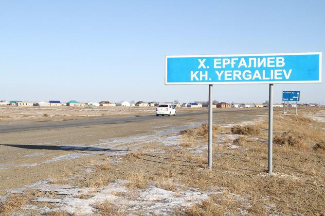 Қамысқала қырындағы ахуал: жылқы шығынына қатысты ресми ақпарат шықты