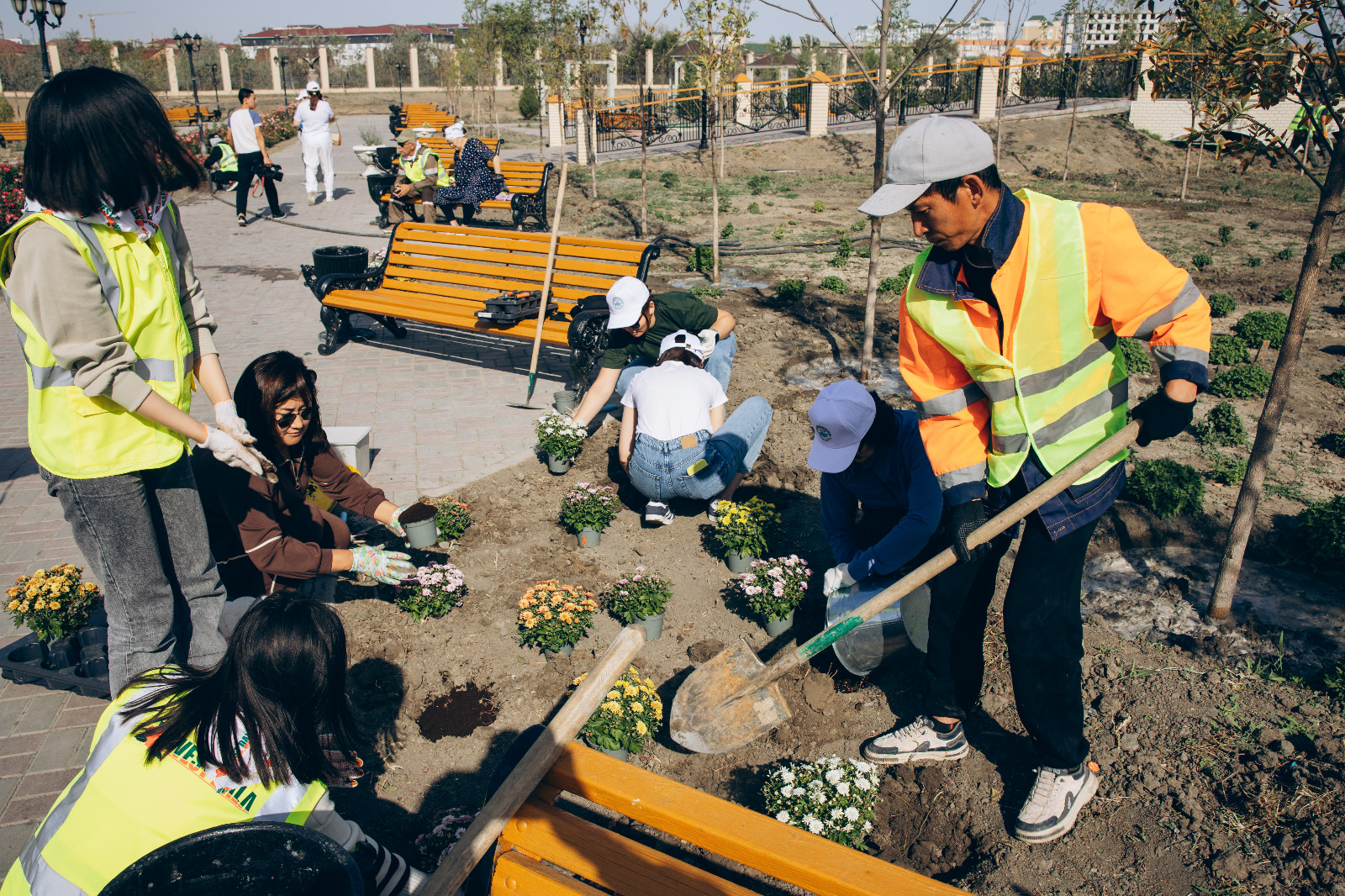 Атырауда 95 мың ағашқа күтім жасалады