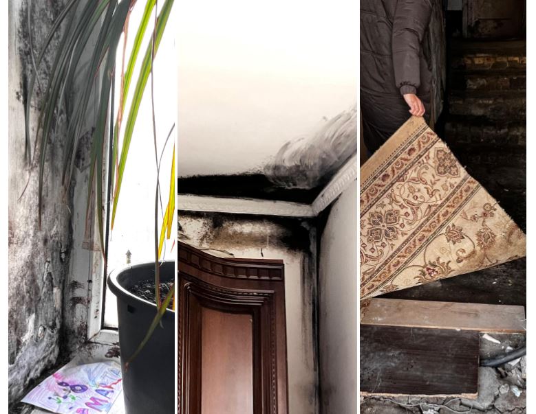 Жители аварийного дома в Атырау предложили чиновникам пожить среди плесени и сырости 