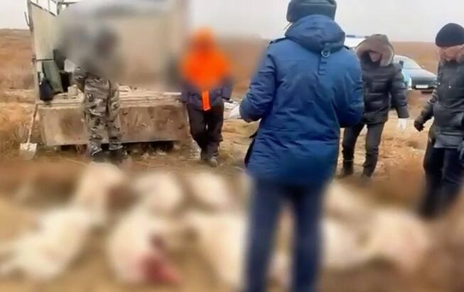 Атырауские браконьеры с 14 тушами сайги задержаны в Актюбинской области